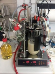 Enzyme-production-in-bioreactor