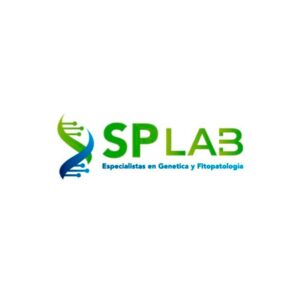 SP-LABORATORIOS.jpg